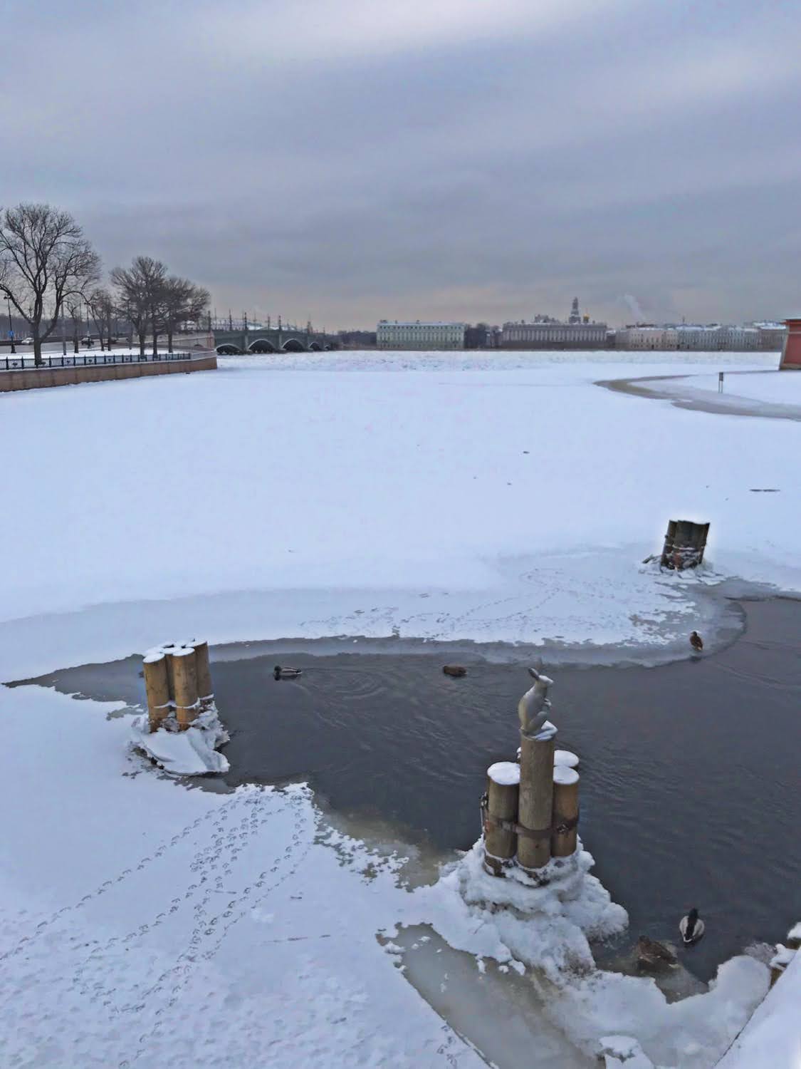 Forteresse Pierre et Paul, Cathédrale Saint Issac et découvertes inattendues