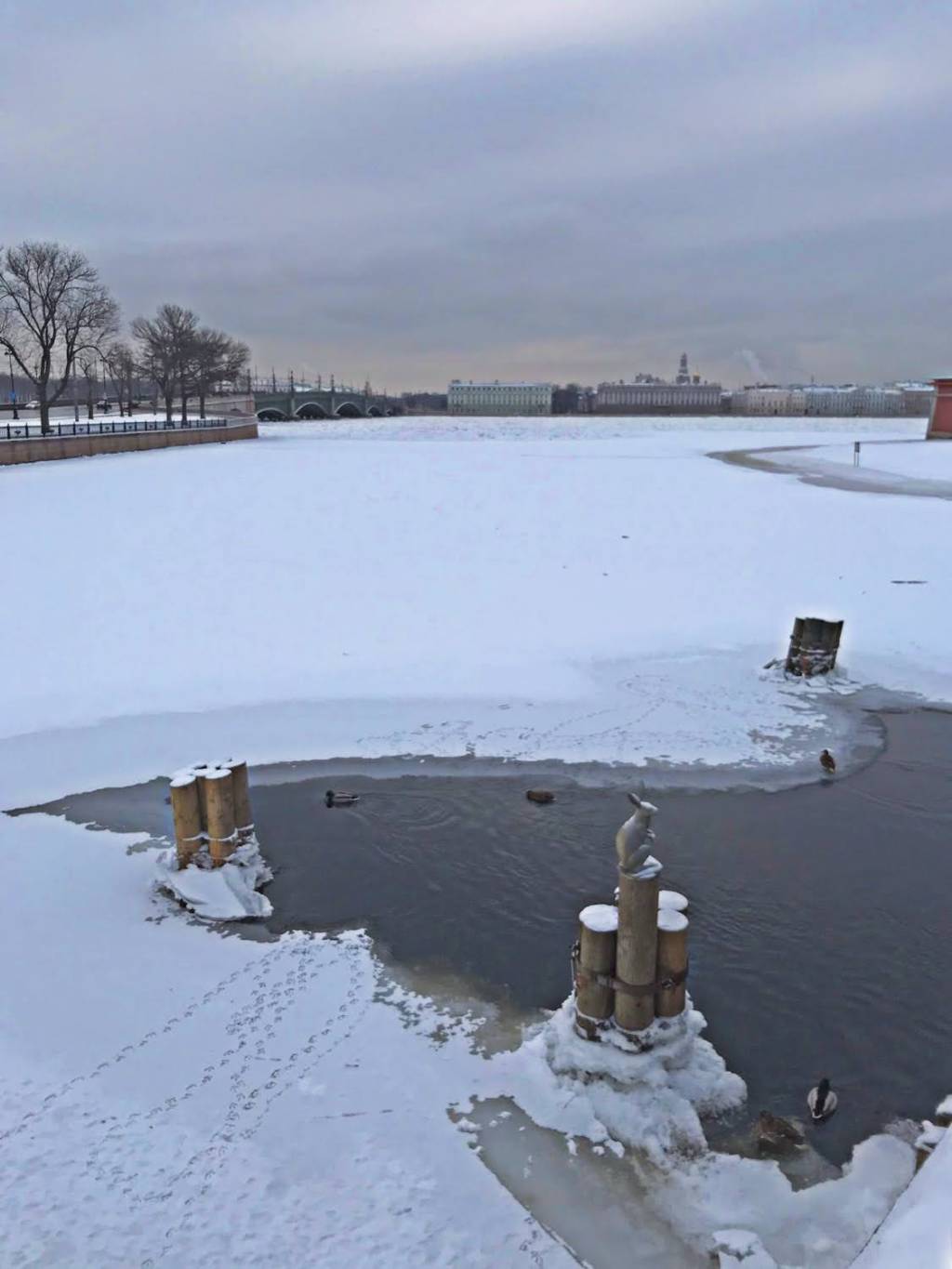 Forteresse Pierre et Paul, Cathédrale Saint Issac et découvertes&nbsp;inattendues