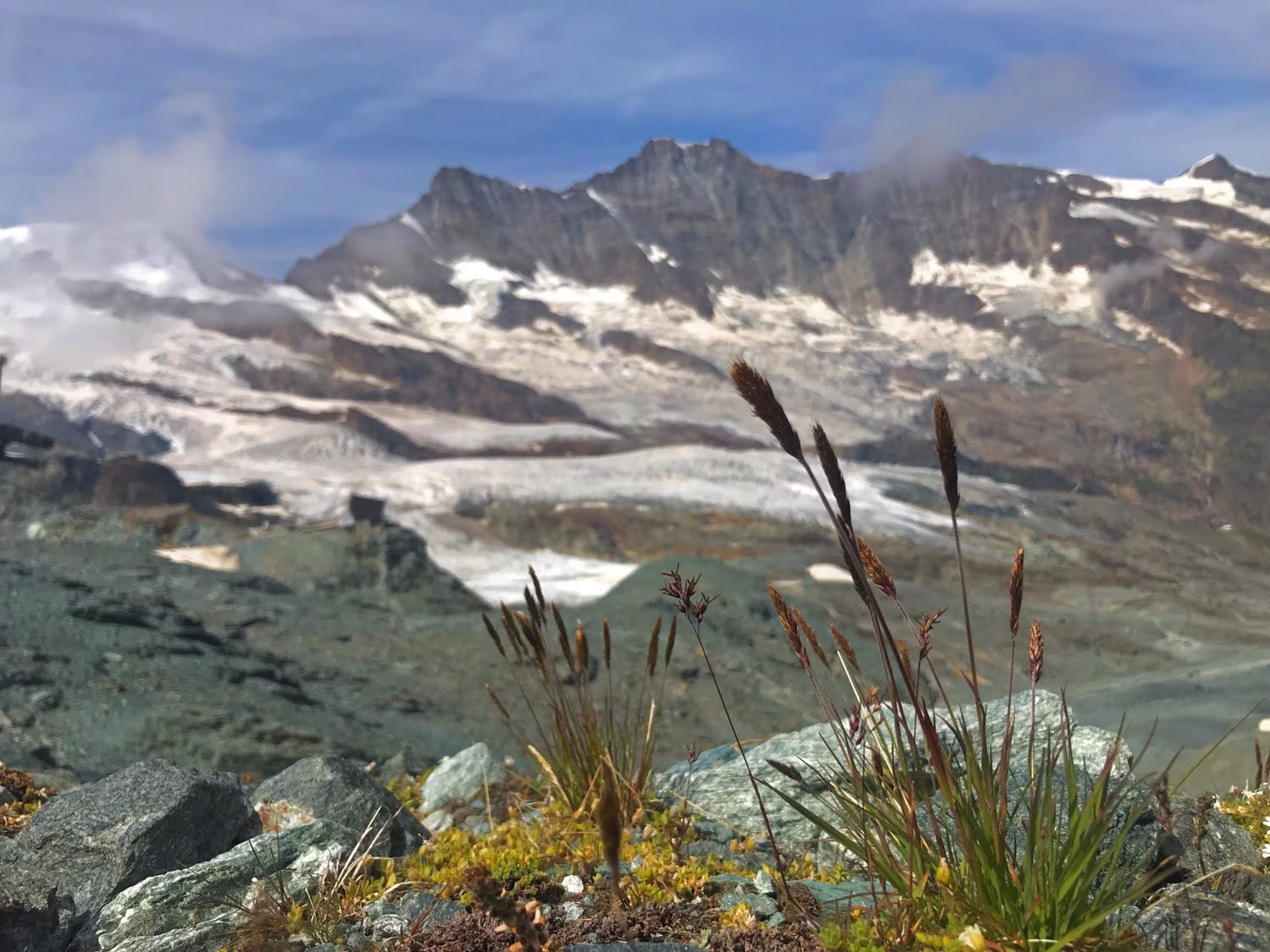 Saas-Fee : Entre Glaciers et Faune&nbsp;Locale
