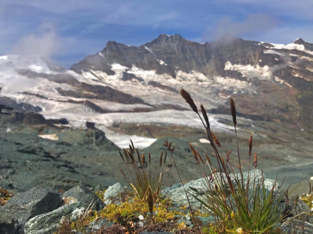 Saas-Fee : Entre Glaciers et Faune&nbsp;Locale