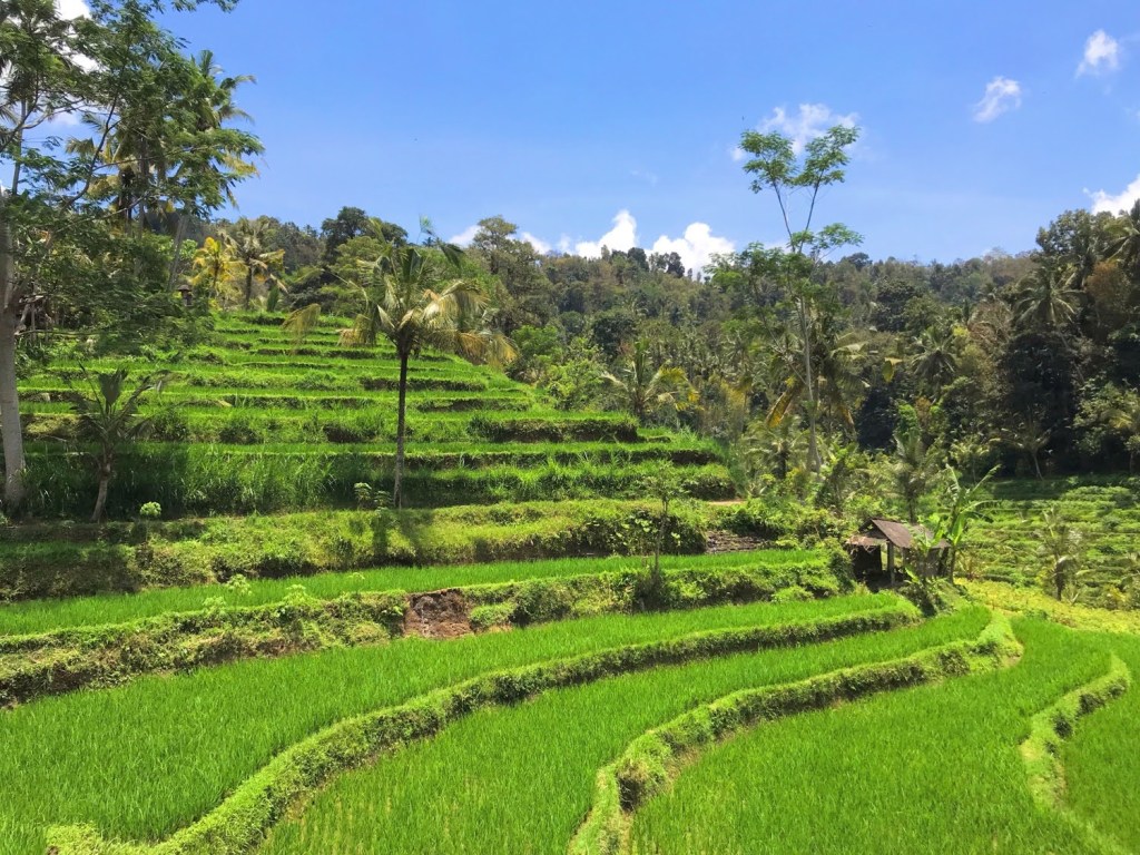 Rizières de Sidemen et Plage de Pasir&nbsp;Putih