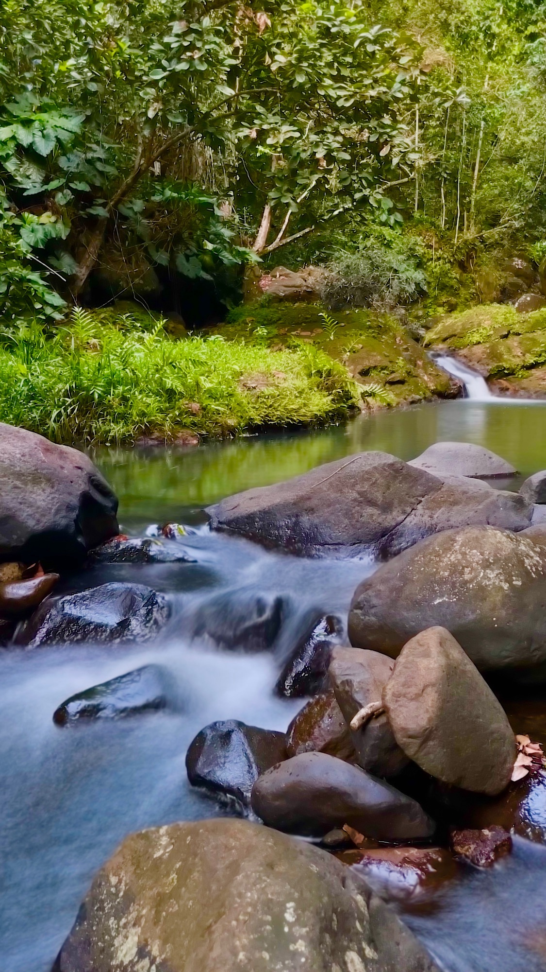 Marchés, Mémorial ACTe et Cascade