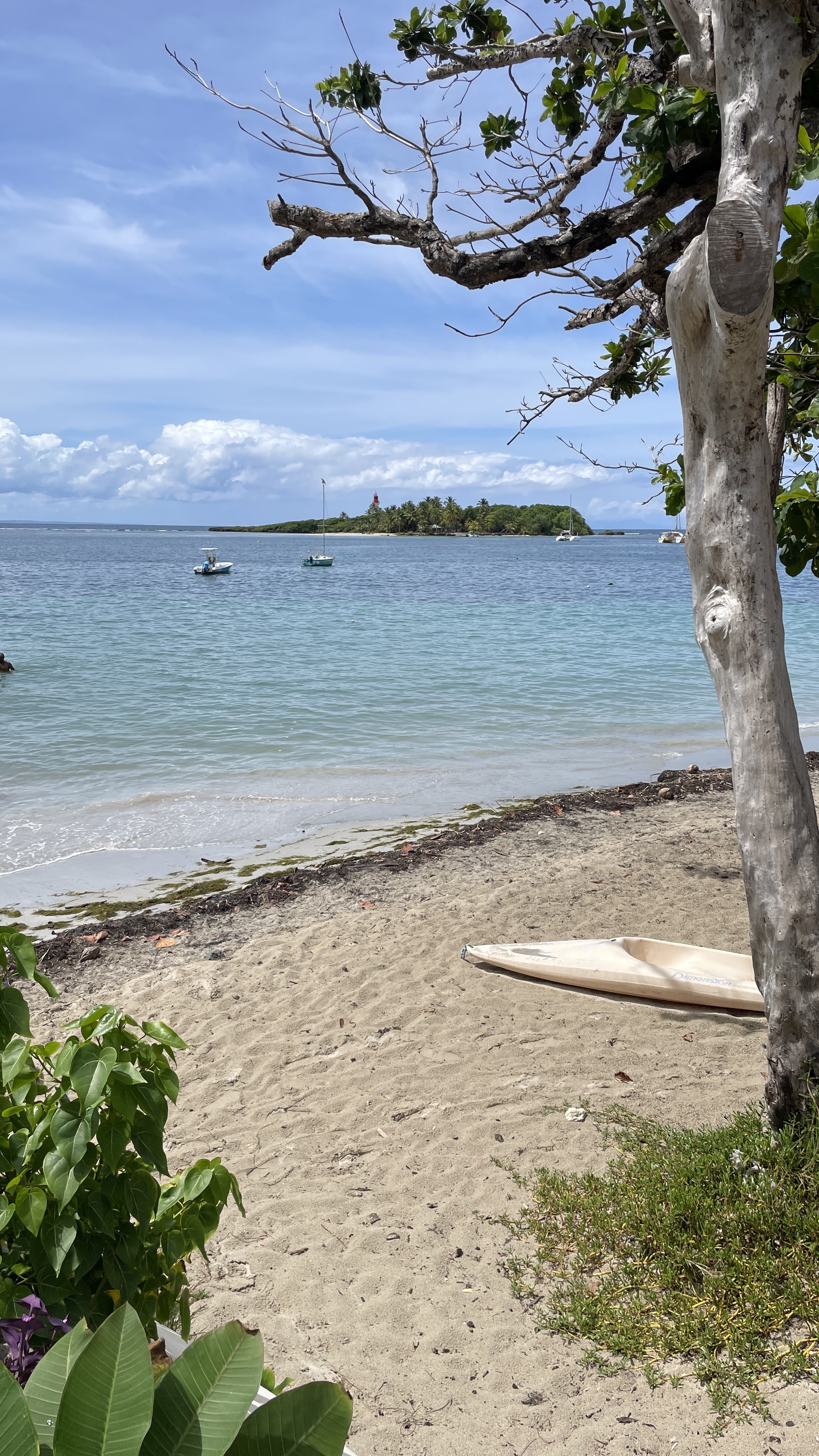 Dernier Jour en Guadeloupe