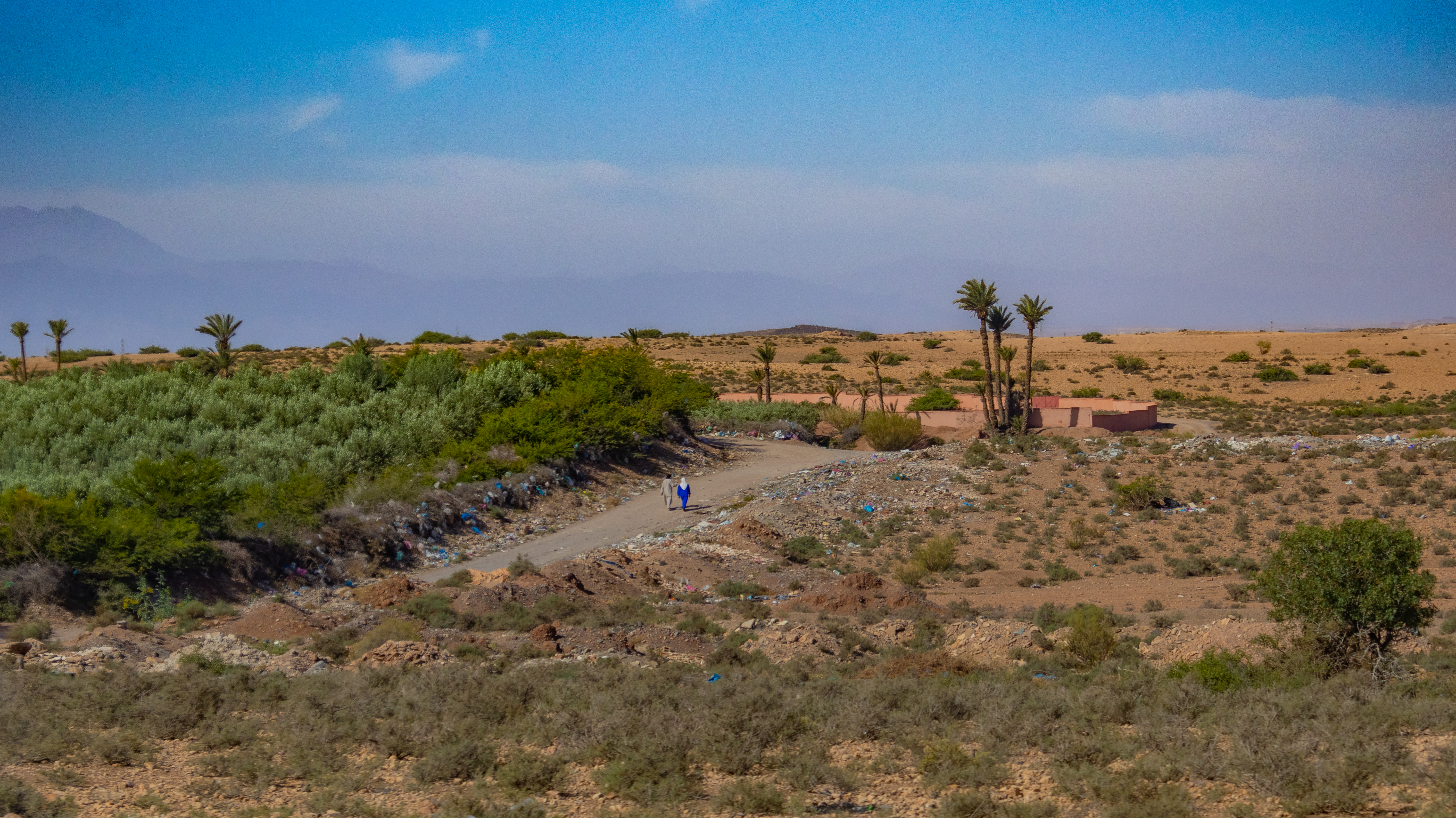 Désert et palmeraies : Entre réalité géographique et mythe touristique